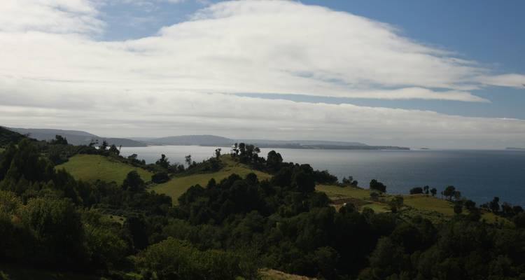 Landscape view with greenery leading to a body of water under a cloudy sky.
