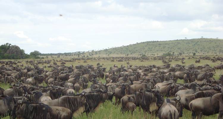 7 jours de camping privé au Kenya - All Time Safaris Ltd 4
