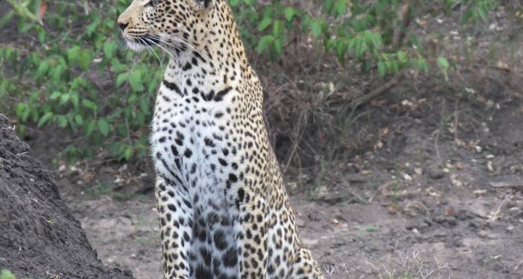 7 jours de camping privé au Kenya - All Time Safaris Ltd 6