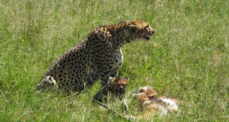 7 jours de camping privé au Kenya - All Time Safaris Ltd 7