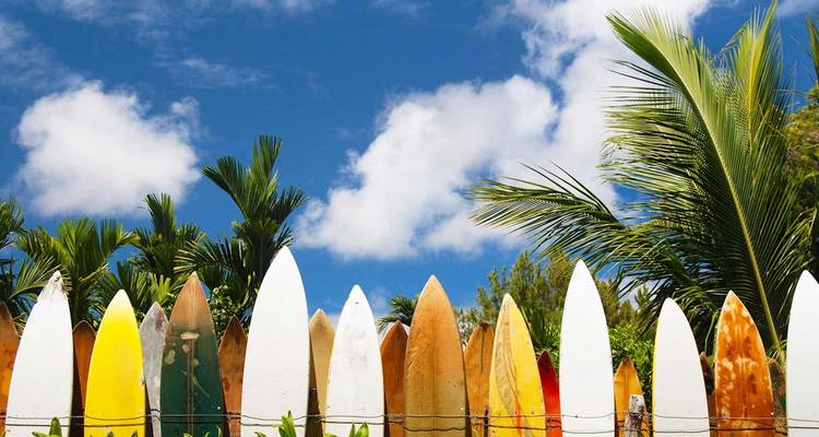 Row of colourful surfboards forms a fence beneath tropical palms and blue Hawaiian sky.