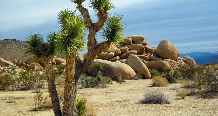 Road Trip USA - Highway 1, Yosemite et; Utah - G Adventures 9