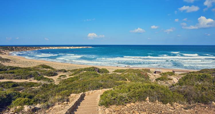 Beachfront with a path leading to the ocean, under a clear sky.