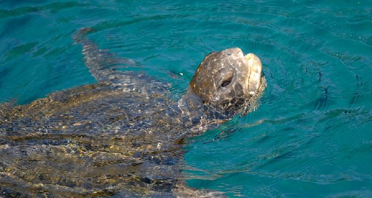 Circuito en yate por la isla Seymour norte - GUIDEcuador Travel 2