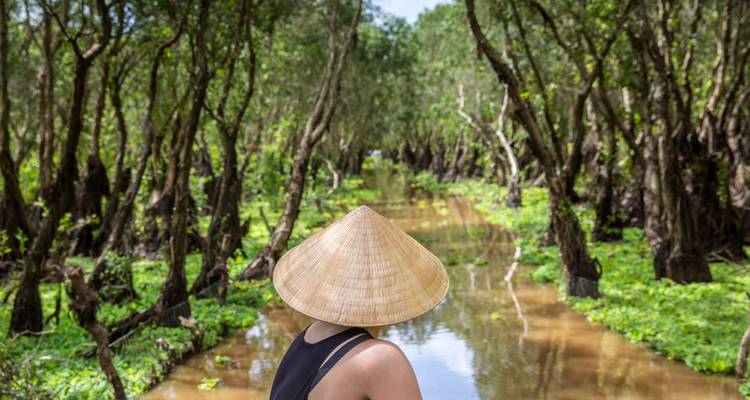 Un voyageur solitaire portant un chapeau conique regarde vers le bas une voie navigable sereine bordée d'arbres noueux dans une forêt inondée.