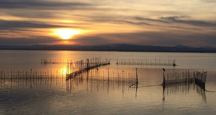 En bici por Valencia y la costa del Azahar - Exodus Adventure Travels 9