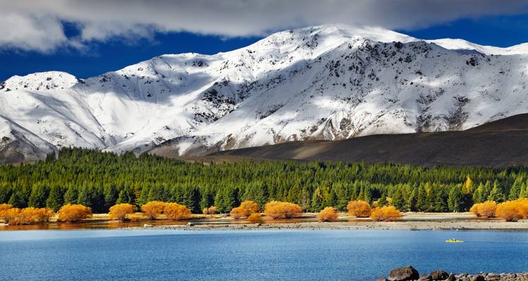 Lac bleu éclatant bordé d'arbres dorés d'automne avec des montagnes enneigées qui s'élèvent majestueusement derrière.