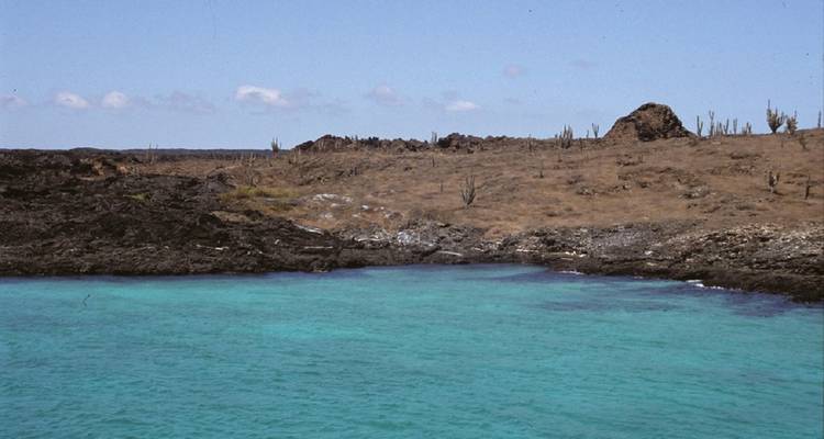 Coastal landscape with rocky terrain and turquoise water.