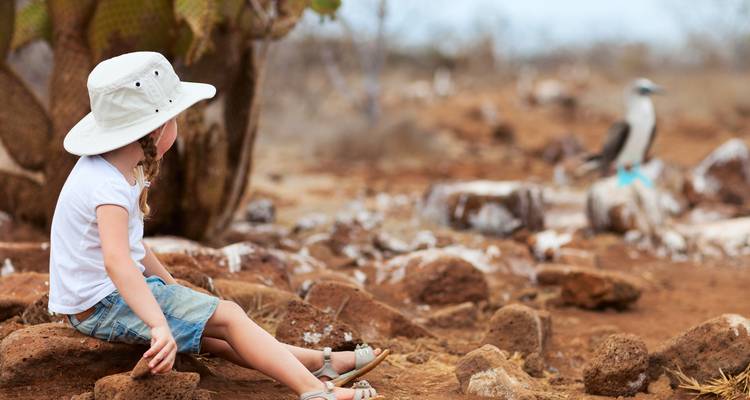 Child in a hat sitting on rocks with a bird in the background.