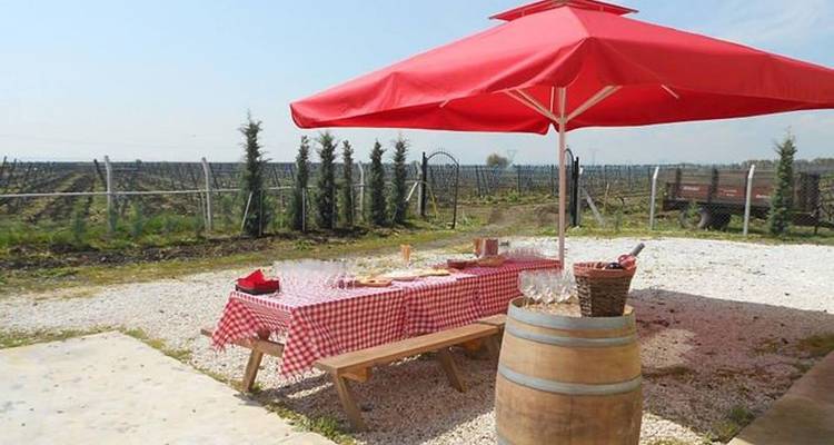 Circuit culinaire et vinicole de 10 jours en Turquie - Turkey Escapades 2