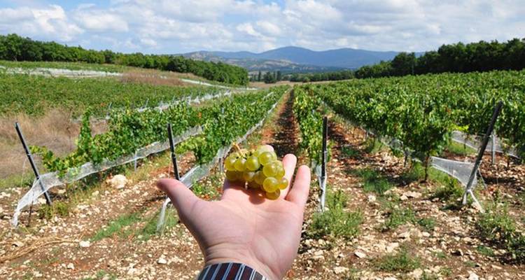 Circuit culinaire et vinicole de 10 jours en Turquie - Turkey Escapades 3