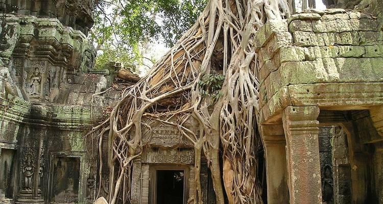 Superior - Excursión en grupo reducido y Camboya a nado (incl. vuelo) - Bavaria Fernreisen 1