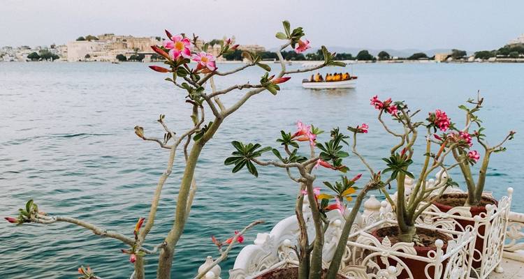 India al descubierto - TruTravels 9