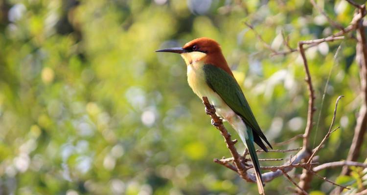 Two Week Sri Lanka Holidays - Holiday Lanka Tours 6