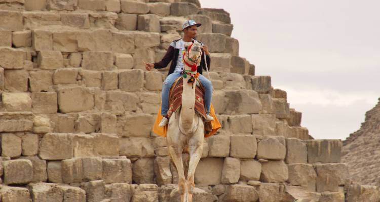 Homme montant un chameau près des pyramides.