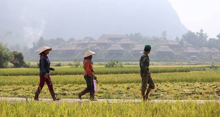 Viaje de bienestar por Vietnam a Mai Chau, Ninh Binh desde Hanói - DNQ Travel 4