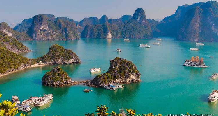Daytime view of Halong Bay with multiple boats and limestone islands.