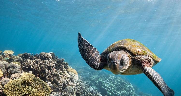 Aventura por la Costa Oeste y el Arrecife Ningaloo - en dirección norte - Intrepid Travel 7