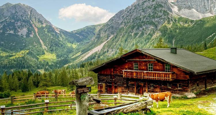Maison traditionnelle en bois avec des vaches dans une région montagneuse.