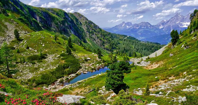 Paysage montagneux avec une végétation luxuriante et un petit lac.