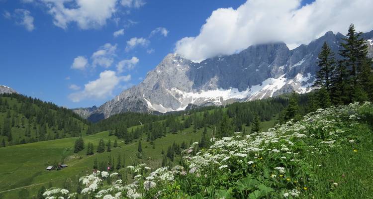 Majestueuses montagnes enneigées et une vallée verdoyante.
