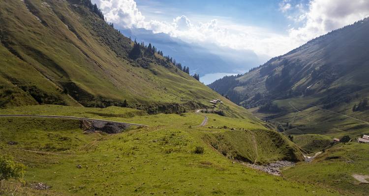 Scenic green valley with winding roads and distant lake.