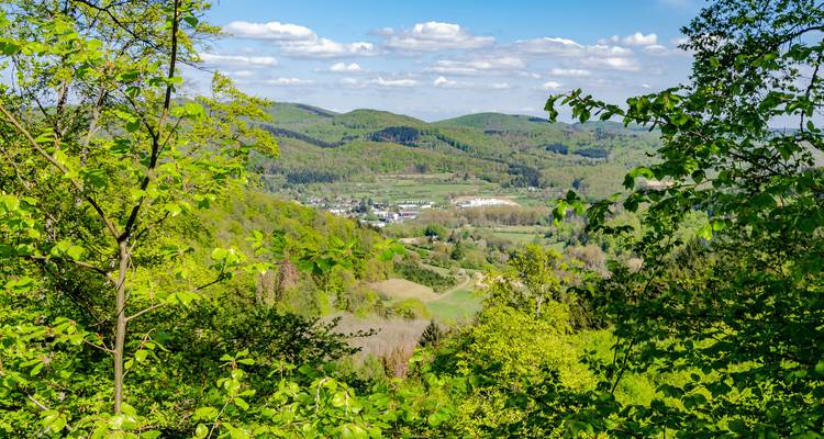 Végétation luxuriante avec vue sur un village au loin.