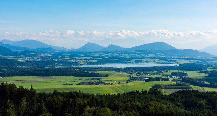 Un vaste paysage verdoyant avec des montagnes en arrière-plan.