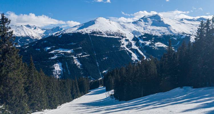 Paysage de montagne enneigé avec des arbres et des pistes de ski.