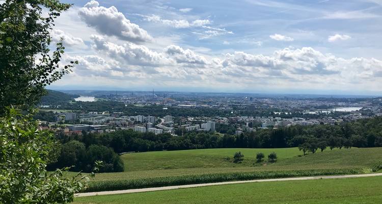 Vue panoramique du paysage urbain avec des champs verts et des arbres