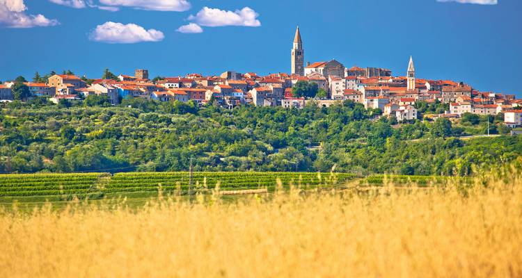 Panoramic view of a town on a hill with a church, surrounded by fields.