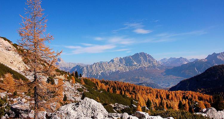 Vue automnale des montagnes et forêts avec un ciel dramatique.