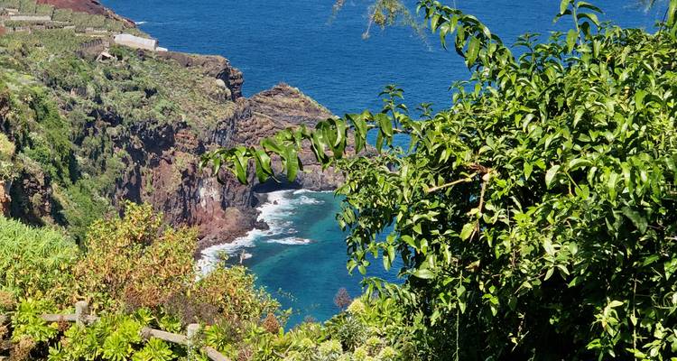 Vue côtière panoramique depuis une hauteur, avec des eaux bleues claires et de la verdure.