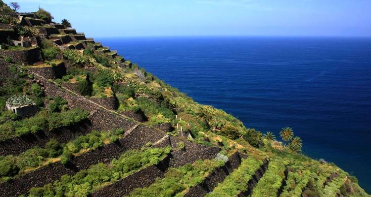 Collines en terrasses surplombant l'océan.