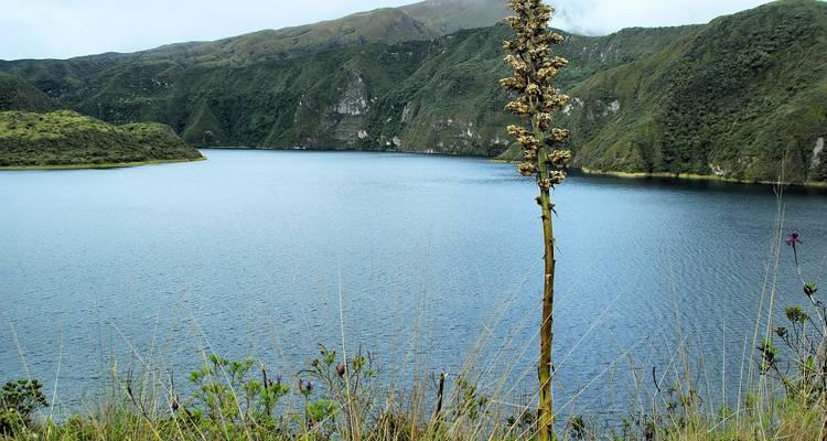 Scenic lake with surrounding hills and natural vegetation.