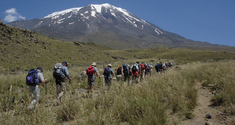 Line of hikers walking in a grassy landscape with a mountain.
