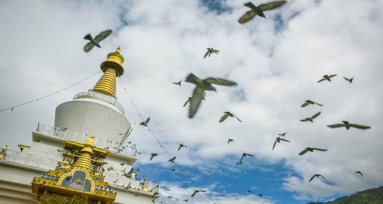 Estupa conmemorativa blanca con una aguja dorada en la parte superior rodeada de pájaros en vuelo contra un cielo azul.