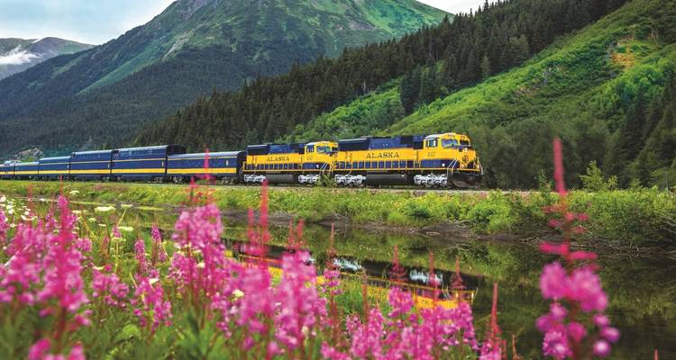 Magnifique Alaska - Southwest Adventure Tours 4
