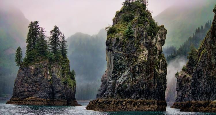 Magnifique Alaska - Southwest Adventure Tours 9