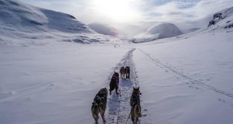 Northern Lights Alaska - Southwest Adventure Tours 1