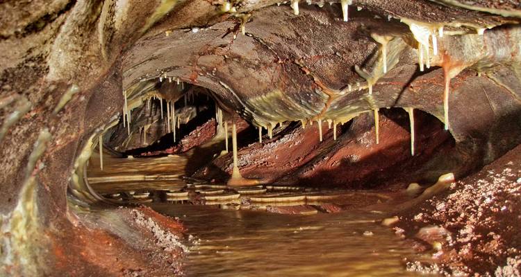 Colinas Negras de Dakota del sur - Southwest Adventure Tours 6