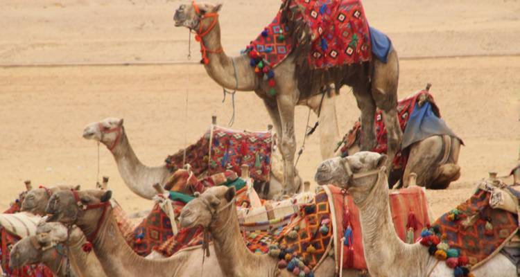 LES BIJOUX DU NIL EN TRAIN - EUROLATINO Tour Operators 9