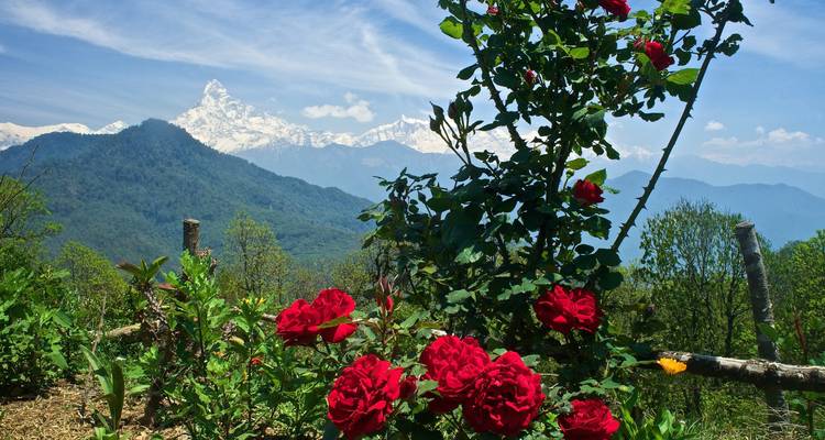Excursionismo en familiar por el Annapurna con comodidad - Peregrine Treks and Expedition Pvt Ltd 7