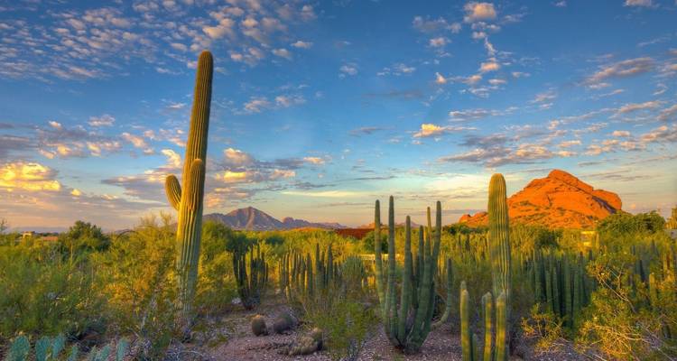 Aventure au Grand Canyon en Arizona - Southwest Adventure Tours 2
