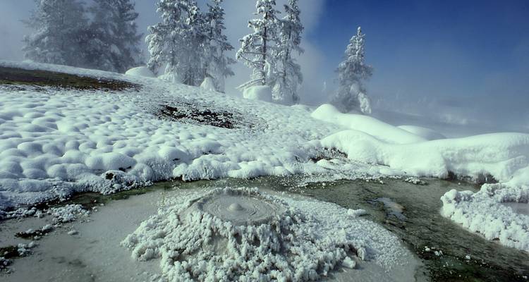 Aventura de invierno en Yellowstone y Grand Teton - Southwest Adventure Tours 8