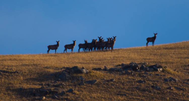 Scènes des parcs nationaux - Tour Mongolia 4