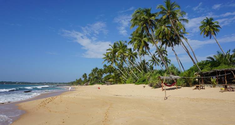 Vacances pour célibataires au Sri Lanka - Holiday Lanka Tours 1
