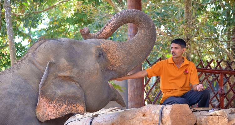 Vacances en solo au Sri Lanka - Holiday Lanka Tours 3