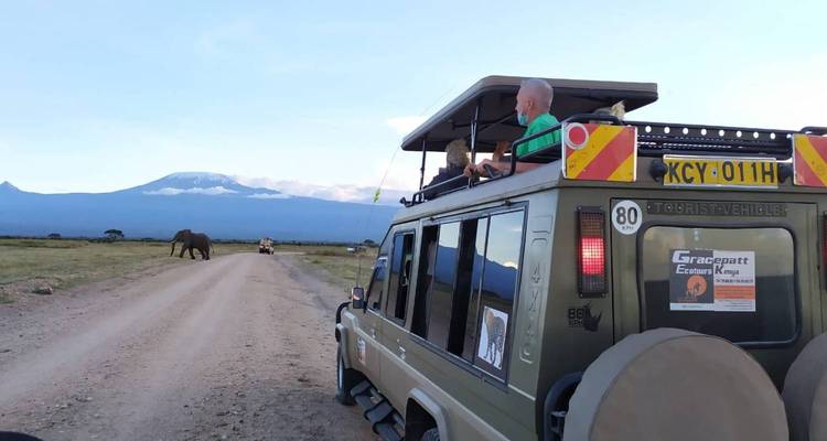 Safari privado Fotográfico de 10 días por la fauna de Kenia - Gracepatt Ecotours Kenya 2