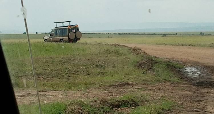 Veraf safari voertuig in een savanne omgeving.